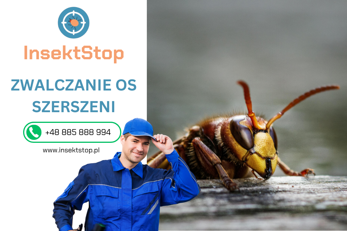 usuwanie gniazd os i szerszeni insektstop.pl